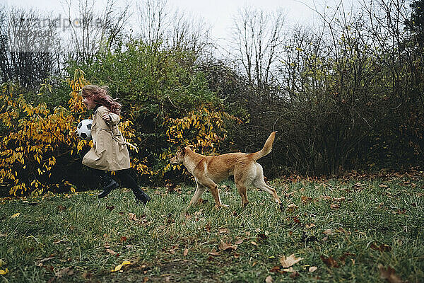 Fröhliches Mädchen spielt mit Hund im Park