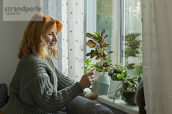 Frau gießt Zimmerpflanzen am Fenster