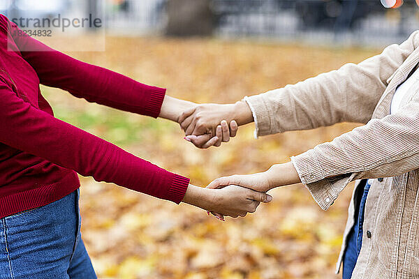 Friends holding hands at autumn park
