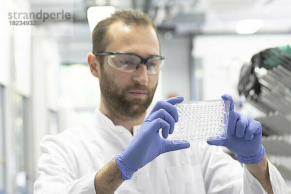 Wissenschaftler untersuchen Multiwellplatte im Labor
