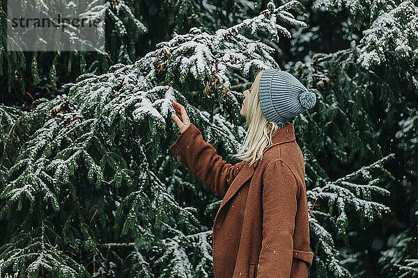 Frau in warmer Kleidung blickt auf Tanne mit Schnee im Wald