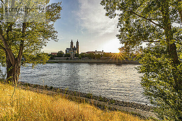 Germany  Saxony-Anhalt  Magdeburg  Bank of Elbe river at sunset with Magdeburg Cathedral in distant background