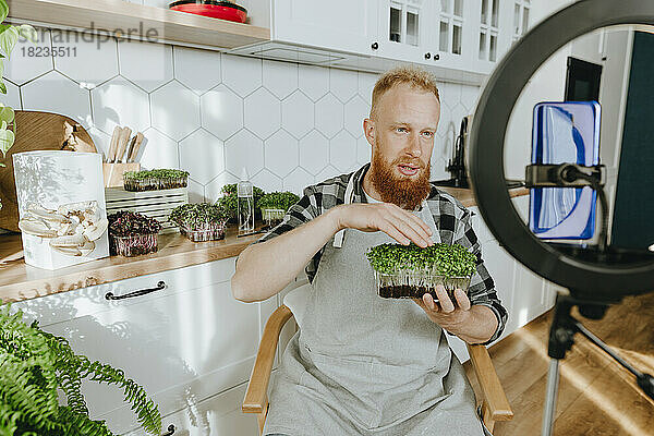 Mann filmt mit Smartphone in der heimischen Küche ein Video von Microgreens