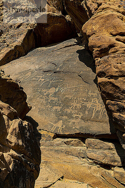 Saudi-Arabien  Provinz Hail  Jubbah  antike Petroglyphen von Jebel Umm Sanman