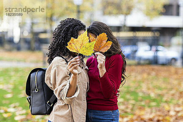 Women hiding faces behind autumn leaves at park