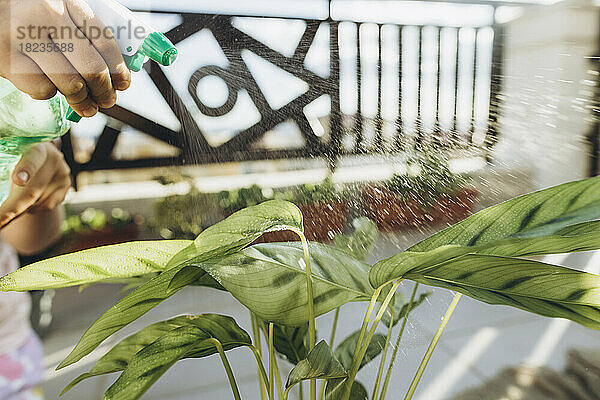 Girl spraying water on plant