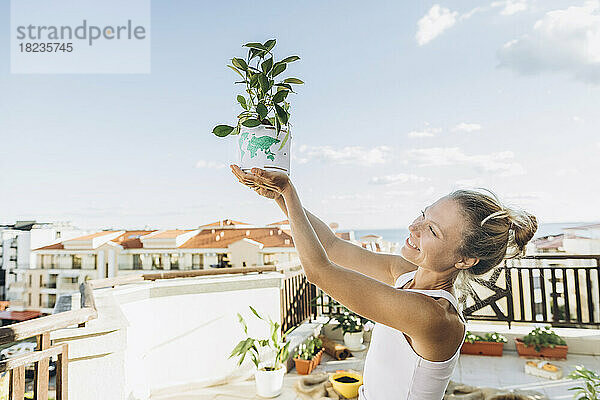 Lächelnde Frau hält Topfpflanze auf Dachterrasse
