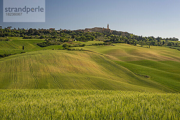 Italien  Toskana  Pienza  grüne Hügellandschaft des Val dOrcia