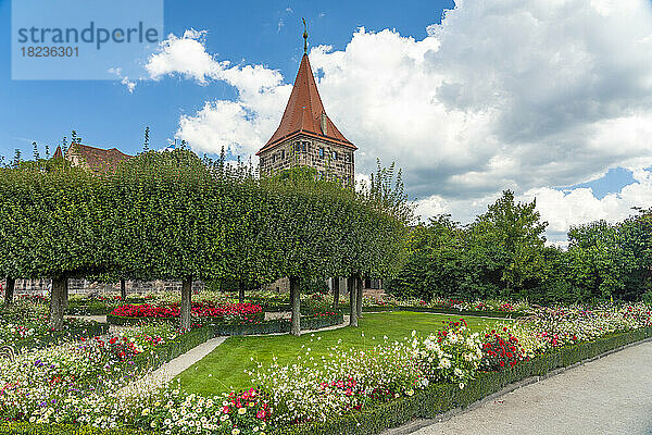Deutschland  Bayern  Nürnberg  Blumen blühen im Schlossgarten mit Tiergärtnertorturm im Hintergrund