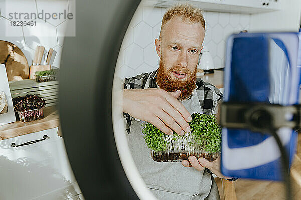 Mann nimmt in der Küche mit dem Handy einen Vlog über Microgreen auf