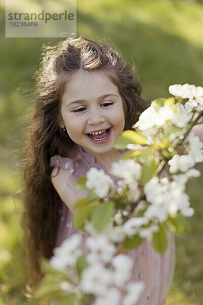Fröhliches süßes Mädchen  das Kirschblüten im Garten pflückt