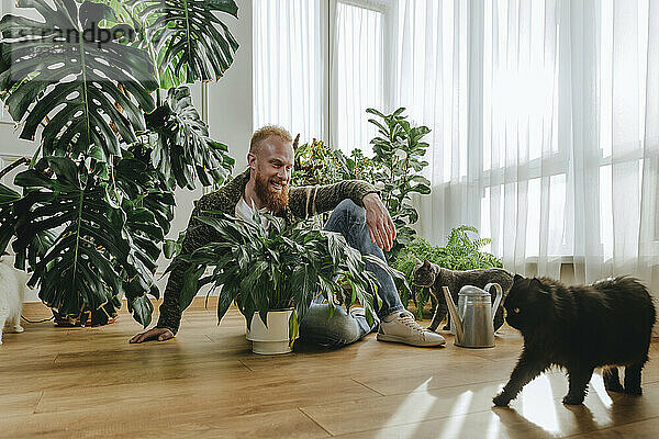 Lächelnder Mann sitzt mit Pflanze und schaut Katze an