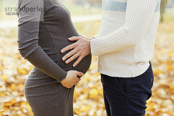 Hände eines Mannes berühren den Bauch einer schwangeren Frau im Park