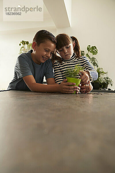 Mädchen gießt Pflanze mit Bruder zu Hause