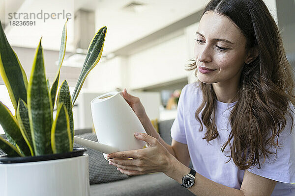 Beautiful woman watering potted plant at home