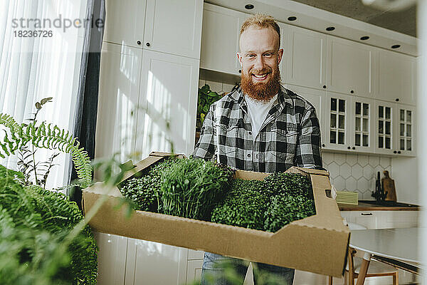 Glücklicher Mann steht mit einer Schachtel frischer Microgreens in der Küche