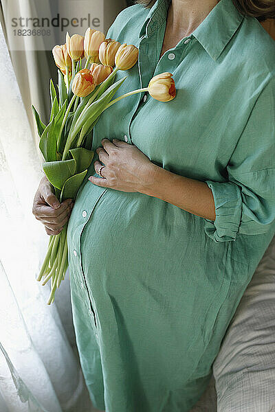Hand einer schwangeren Frau  die zu Hause eine orangefarbene Tulpe hält