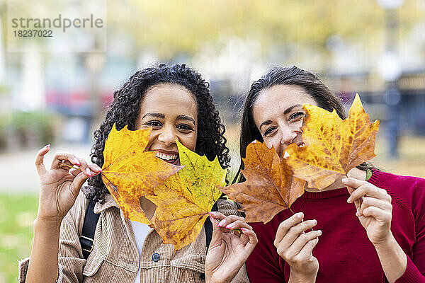 Frauen amüsieren sich mit Ahornblättern im Park
