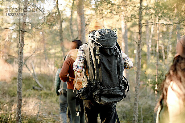 Rückansicht eines Mannes mit Freunden beim Wandern im Wald