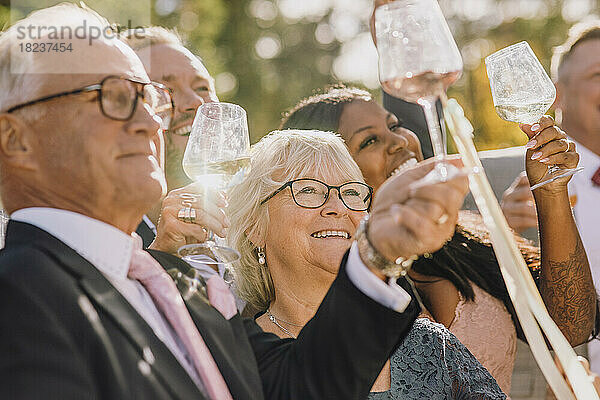 Lächelnde Freunde und Familie stoßen mit Weingläsern an und feiern die Hochzeit an einem sonnigen Tag