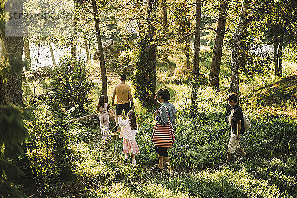 Hohe Winkel Ansicht der Familie spazieren gehen zusammen im Wald beim Picknick