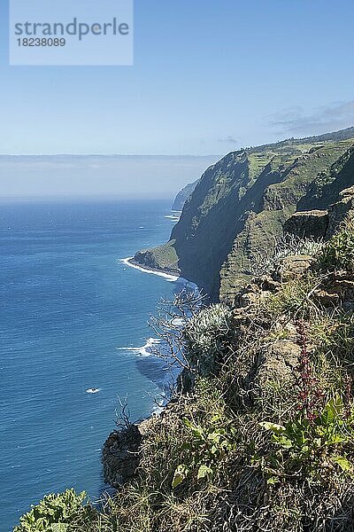 Küste von Ponta do Pargo  Steilküste  Madeira  Portugal  Europa