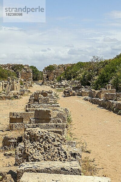 Archäologische Ausgrabungsstätte  Selinunt  Provinz Trapani  Sizilien  Italien  Europa