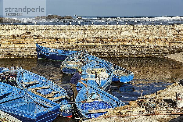 Traditionelle blaue Fischerboote im Hafen  Essaouira  Marokko  Afrika