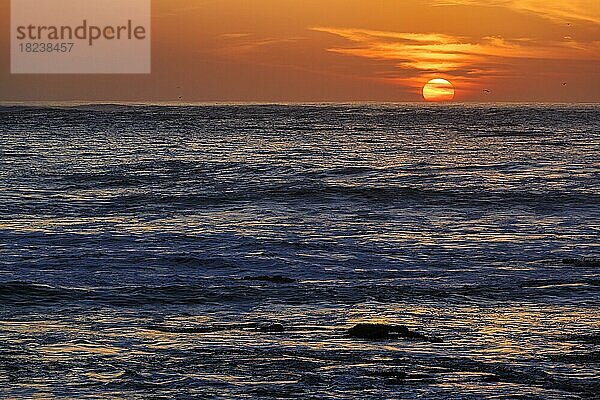 Sonnenuntergang am Atlantik  Essaouira  Marrakesch-Safi  Marokko  Afrika