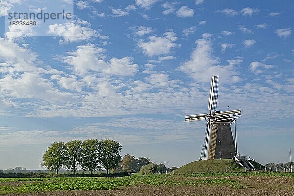 Bronkhorstermolen  Turmwindmühle von 1844  Steenderen  Gelderland  Niederlande  Europa