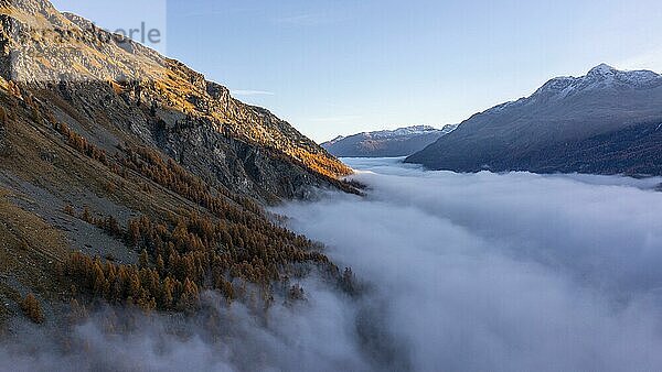 Piz Lagrev mit bunten Lärchen und Nebel im Herbst  Sils im Engadin  Engadin  Graubünden  Schweiz  Europa