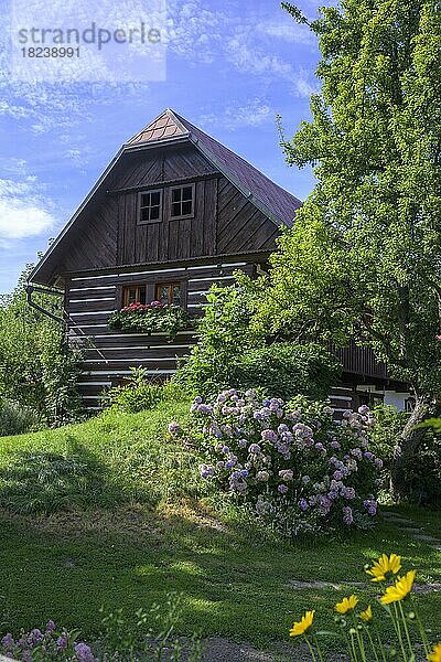 Altes Holzhaus im Dorf  Vesec u Sobotky  Královéhradecký kraj  Tschechien  Europa