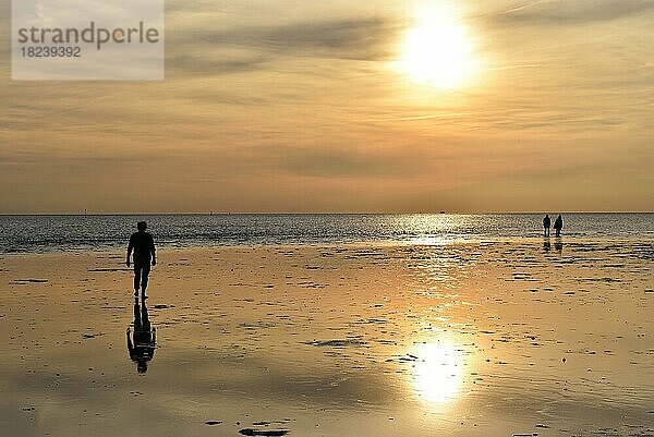 Menschen bei Wattwanderung im Sonnenuntergang an der Nordsee  Schleswig-Holstein  Deutschland  Europa