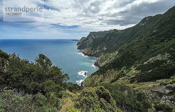 Steile felsige Küste und Meer  Küstenlandschaft  Wanderweg Vereda do Larano  Madeira  Portugal  Europa