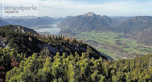 Blick von Berg Katrin im Katergebirge auf den Wolfgangsee  Salzkammergut  Traunviertel  Oberösterreich  Österreich  Europa