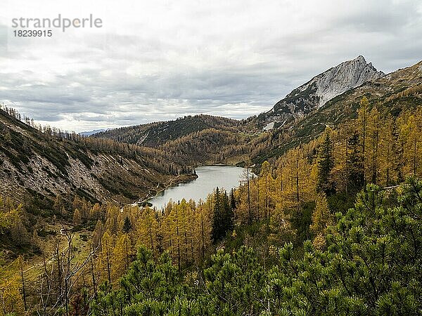 Steirersee  Tauplitzalm im Herbst  Steiermark  Österreich  Europa