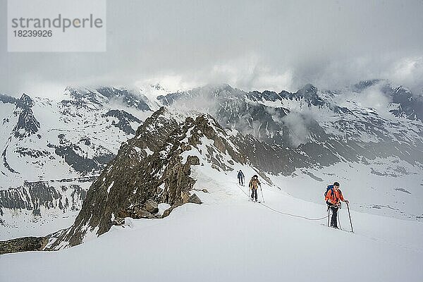 Skitourengeher gehen am Seil am Gletscher im Winter in den Bergen  Alpeiner Ferner  Oberbergtal  Neustift im Stubaital  Tirol  Österreich  Europa