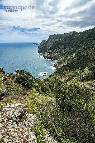 Steile felsige Küste und Meer  Küstenlandschaft  Wanderweg Vereda do Larano  Madeira  Portugal  Europa