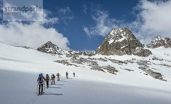 Gruppe von Skitourengeher im Winter in den Bergen  Neustift im Stubaital  Tirol  Österreich  Europa