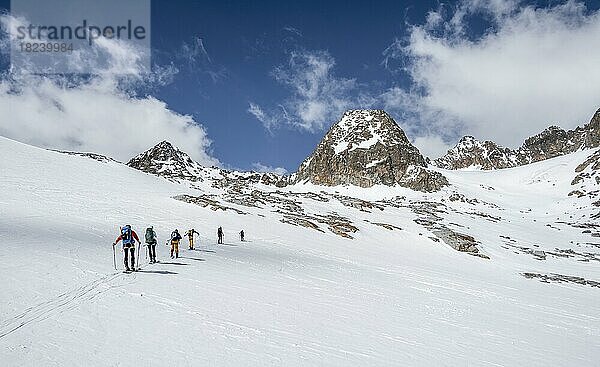 Gruppe von Skitourengeher im Winter in den Bergen  Neustift im Stubaital  Tirol  Österreich  Europa