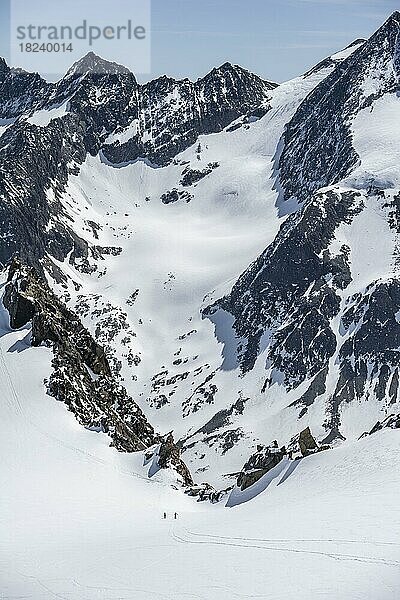 Skitourengeher an der Turmscharte  Berge in den Stubaier Alpen  Tirol  Österreich  Europa