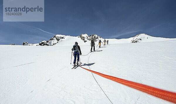 Skitourengeher am Aufstieg mit Seil am Gletscher  Berge im Winter mit Schnee  Stubaier Alpen  Tirol  Österreich  Europa