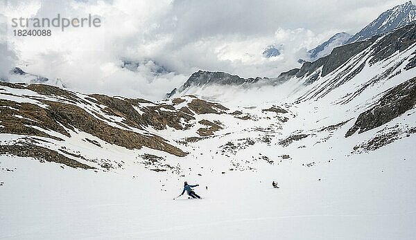 Skitourengeherin im Winter bei der Abfahrt  in den Bergen  Oberbergtal  Neustift im Stubaital  Tirol  Österreich  Europa