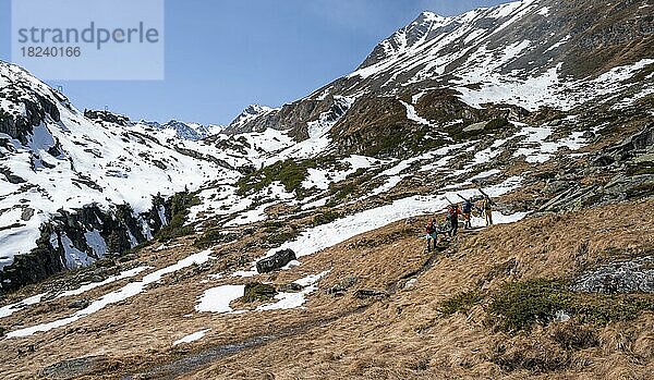 Skitourengeher wandern im Frühling mit wenig Schnee  Neustift im Stubaital  Tirol  Österreich  Europa
