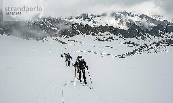 Skitourengeher gehen am Seil am Gletscher im Winter in den Bergen  Alpeiner Ferner  Oberbergtal  Neustift im Stubaital  Tirol  Österreich  Europa