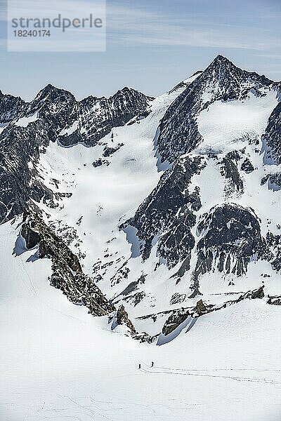 Skitourengeher an der Turmscharte  Berge in den Stubaier Alpen  Tirol  Österreich  Europa