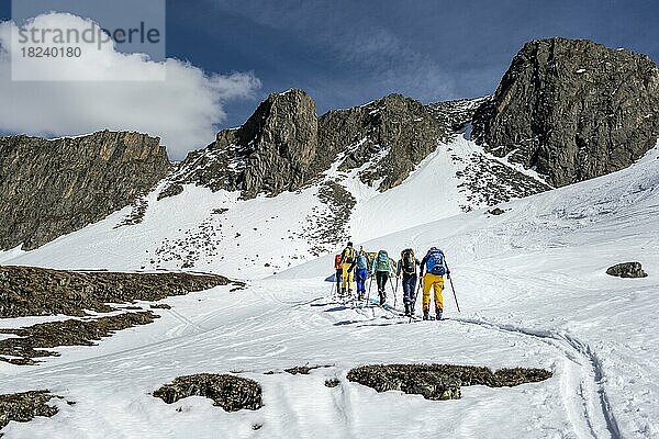 Gruppe Skitourengeher im Winter  Neustift im Stubaital  Tirol  Österreich  Europa
