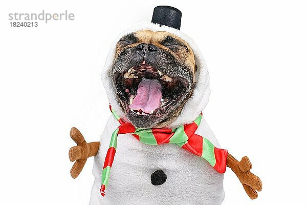Lustige lachende Französische Bulldogge Hund gekleidet als Schneemann mit Ganzkörperanzug Kostüm mit Schal  gefälschte Stick Arme und kleinen Hut vor weißem Hintergrund