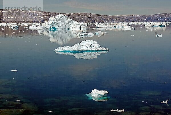 Eisberge spiegeln sich in einem Fjord  Stille  Ruhe  karge Landschaft  Eisjord  Ostgrönland  Nordamerika  Tiniteqilaaq  Tasilaq  Arktis  Grönland  Nordamerika