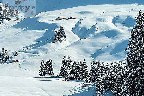 Frisch verschneite Winterlandschaft mit einer Alp und Wald in den Schweizer Bergen  Kanton Bern  Schweiz  Europa